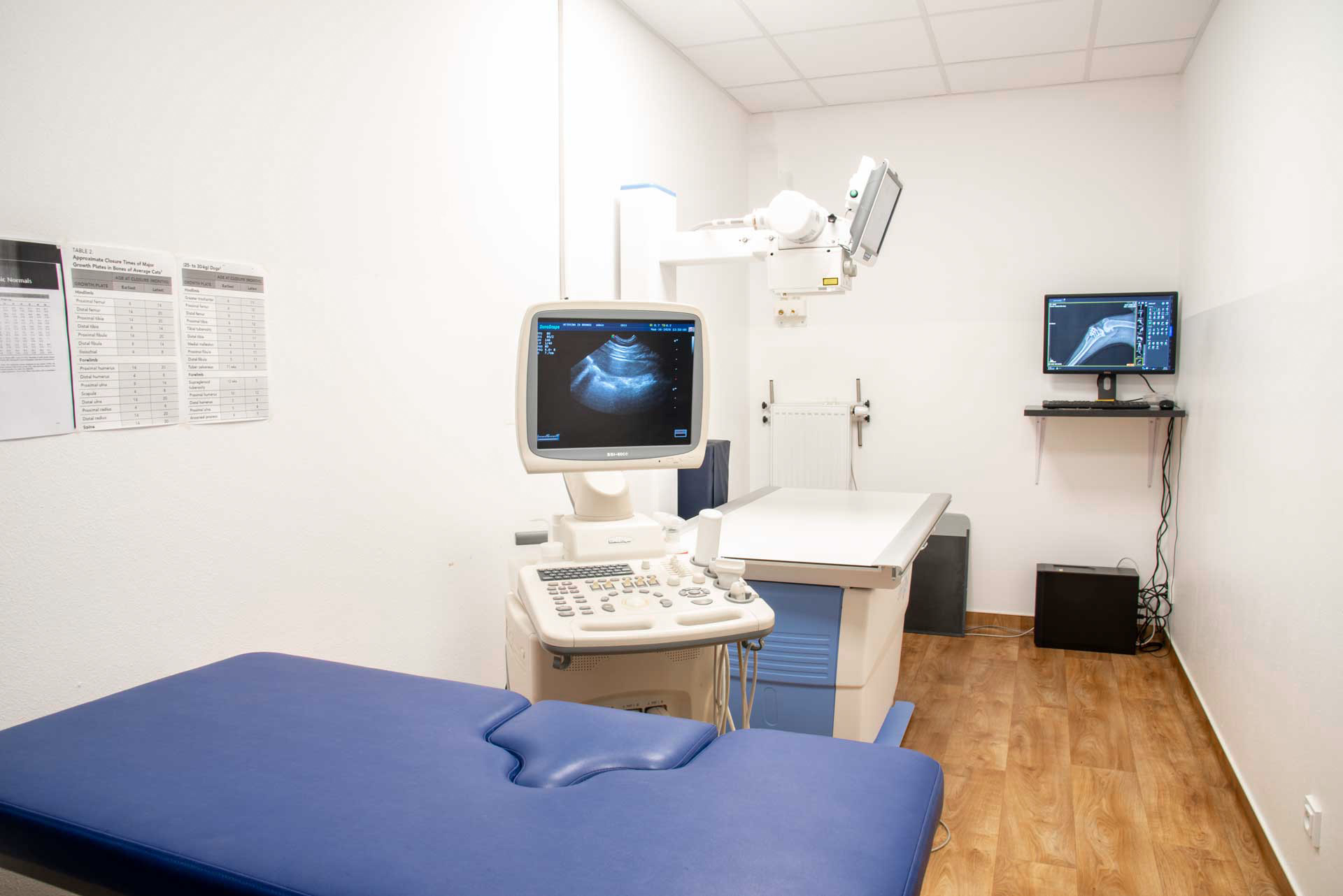 vetpoint (7)